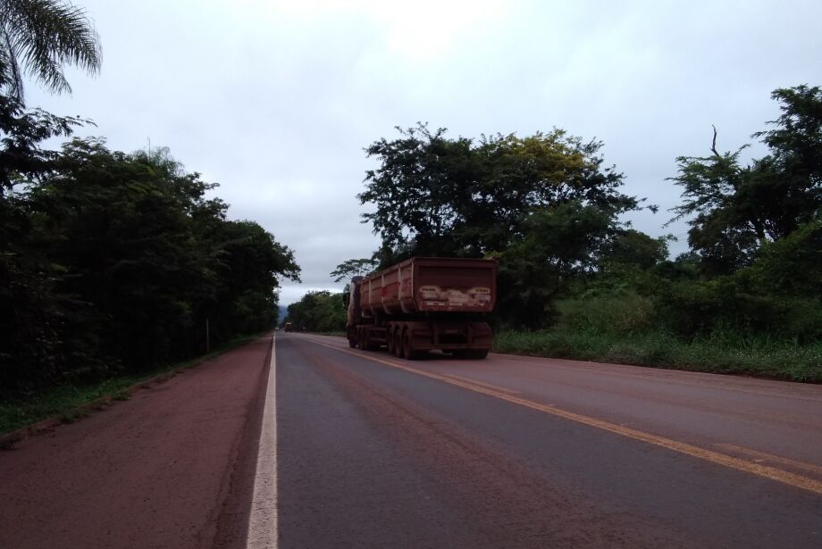 Rodovia da morte para animais no Pantanal tem média de 180 atropelamentos por mês