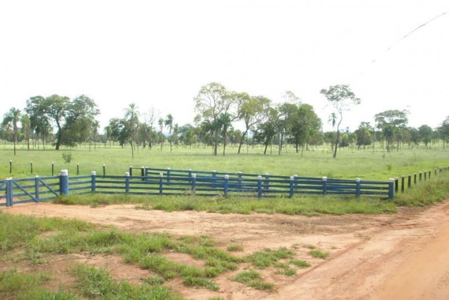 Declaração do Imposto sobre Propriedade rural pode ser pago do dia 14 de agosto a 29 de setembro