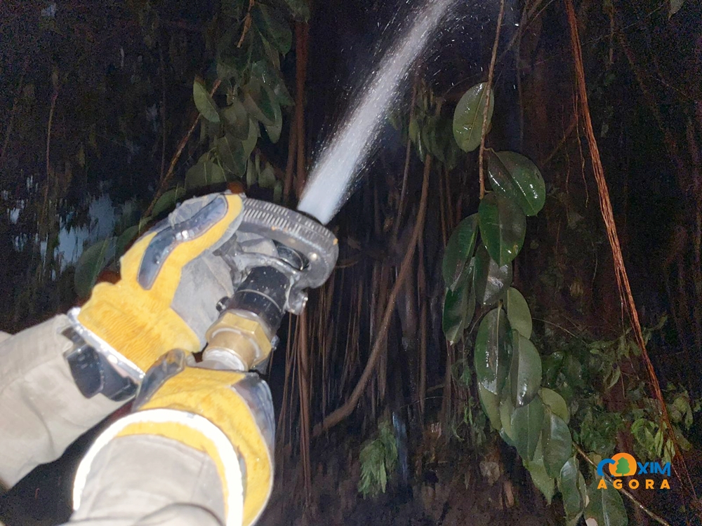 Bombeiros combatem incêndio em Figueira no Centro de Coxim