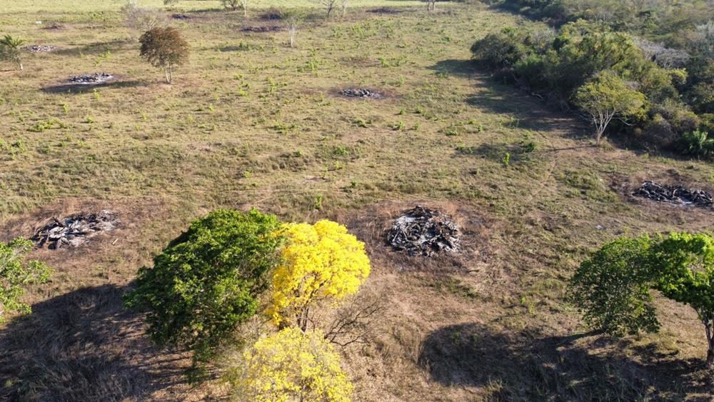 PMA de Rio Negro autua produtor rural por uso de fogo sem autorização do órgão competente