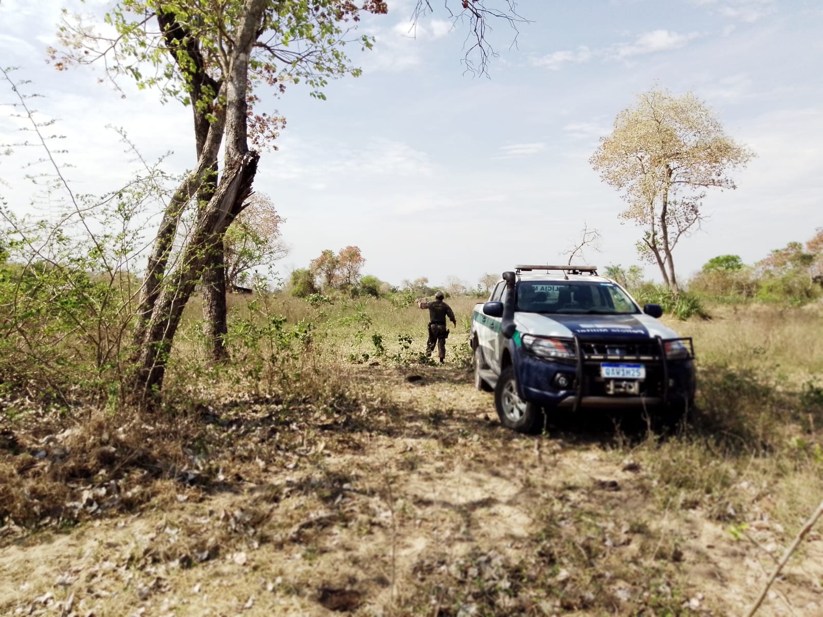 PMA autua propriedades por supressão em áreas remanescentes de vegetação nativa no Pantanal