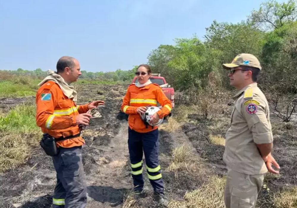 Após cinco dias, bombeiros controlam focos de incêndio no Pantanal