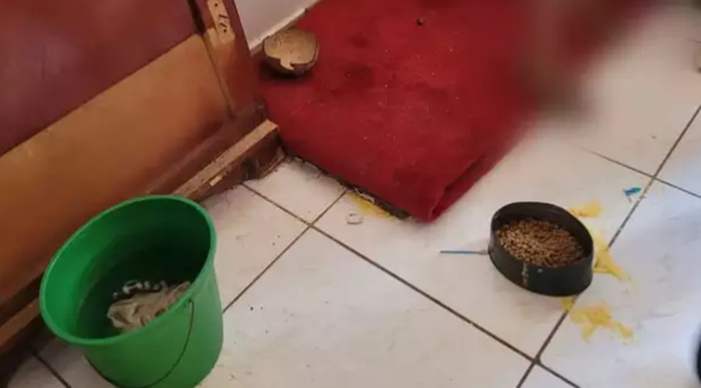 Filhos viviam presos, comendo ração de cachorro na Capital