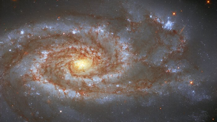 Horóscopo do dia: veja as previsões para todos os signos nesta segunda-feira, 16