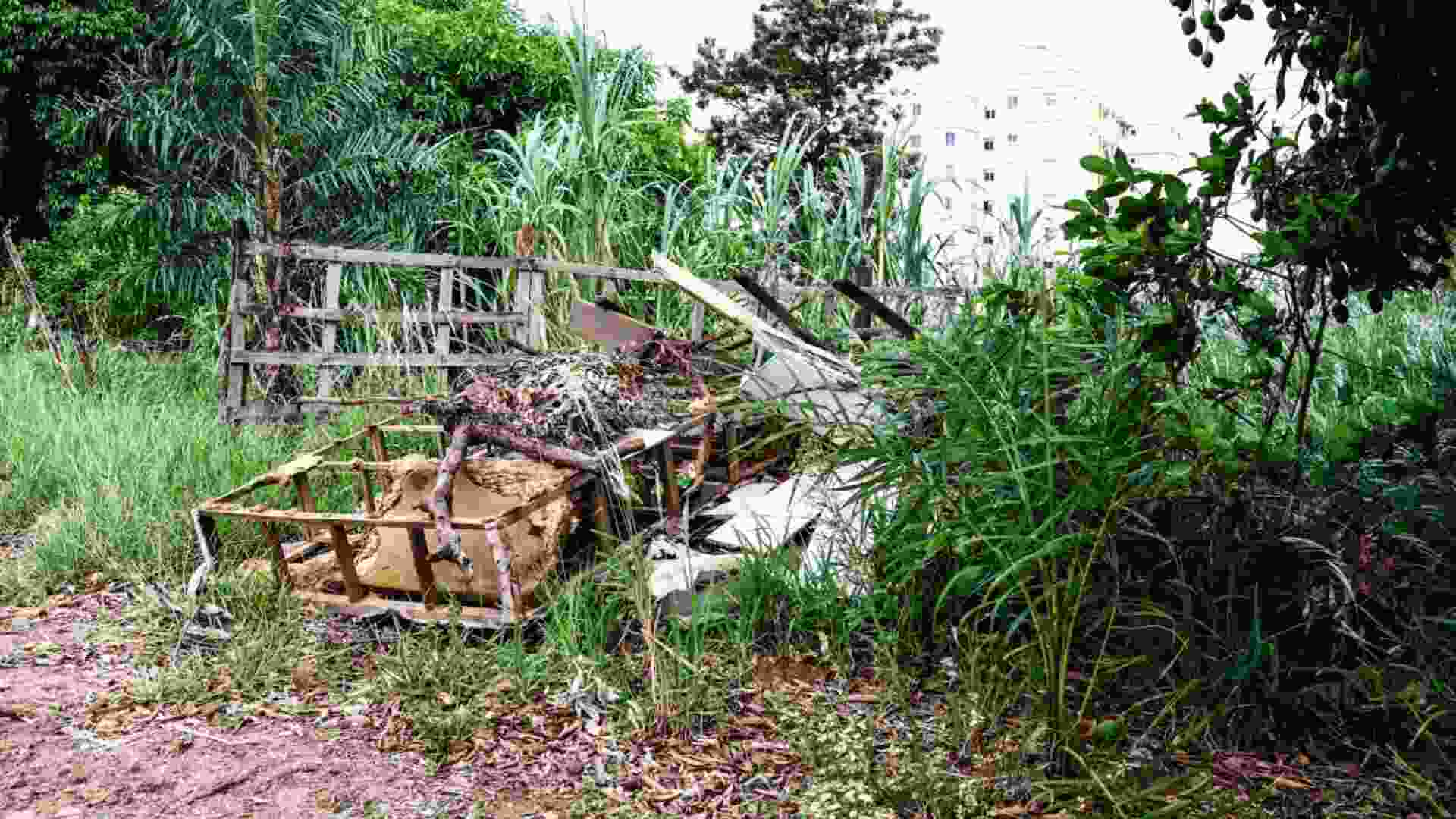 Projeto de lei que endurece punições para donos que não limparem terrenos baldios é aprovado