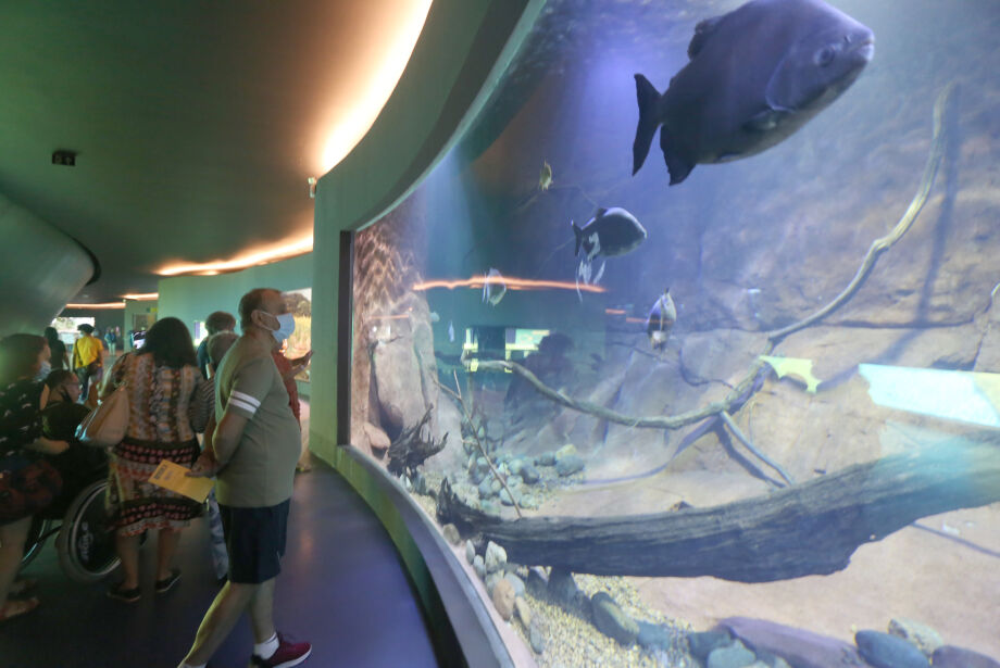 Confira os horários do Bioparque Pantanal no fim de ano