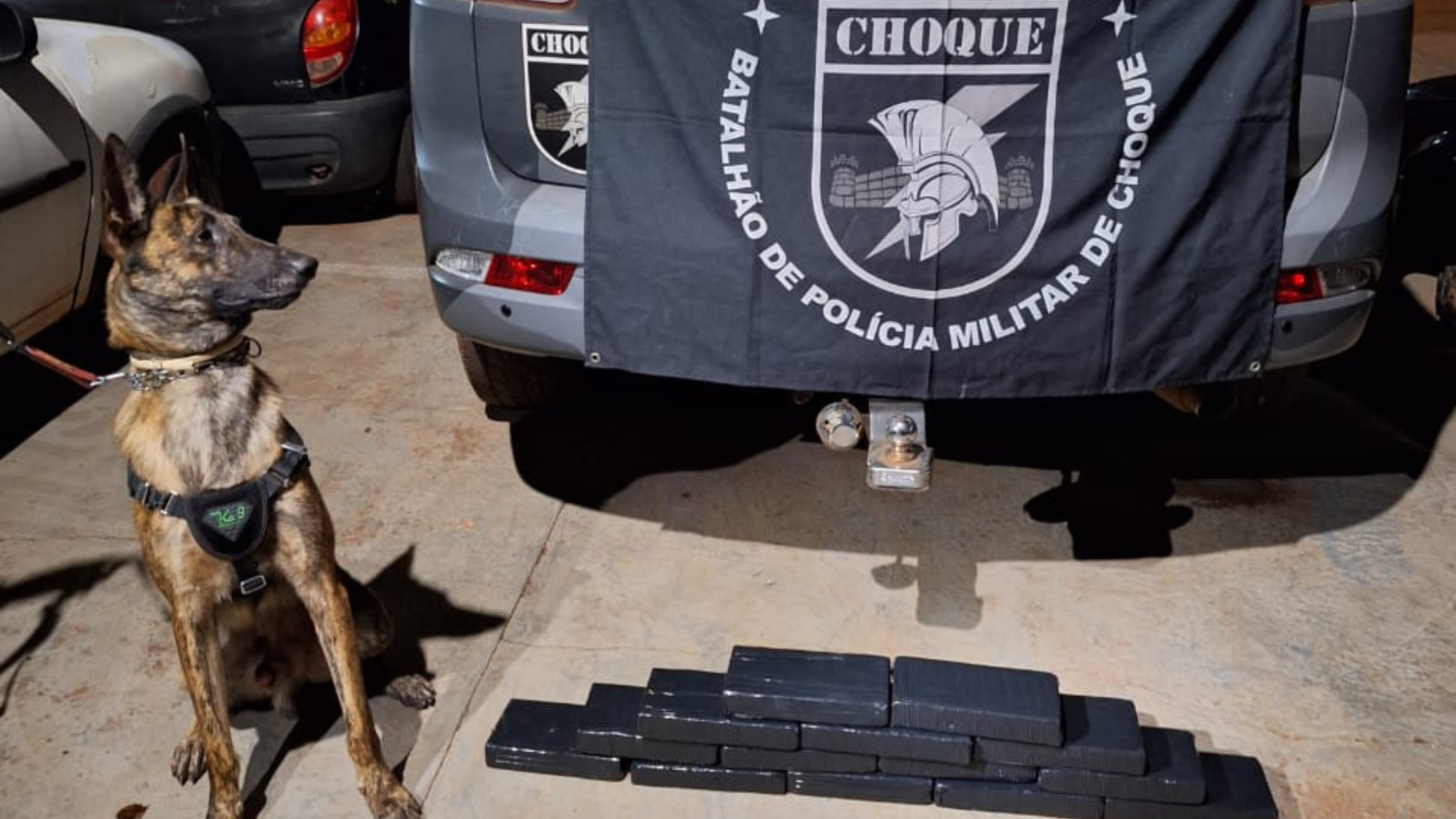 Cocaína apreendida em ônibus com bolivianos foi avaliada em R$1 milhão