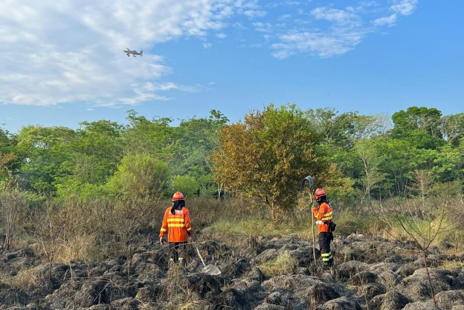 Em meio ao calorão, novos focos de incêndio acontecem no Pantanal
