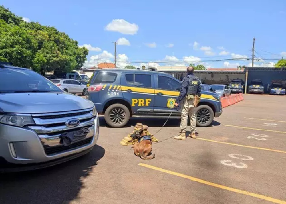Boliviano e argentina são presos com carregamento cocaína na Capital
