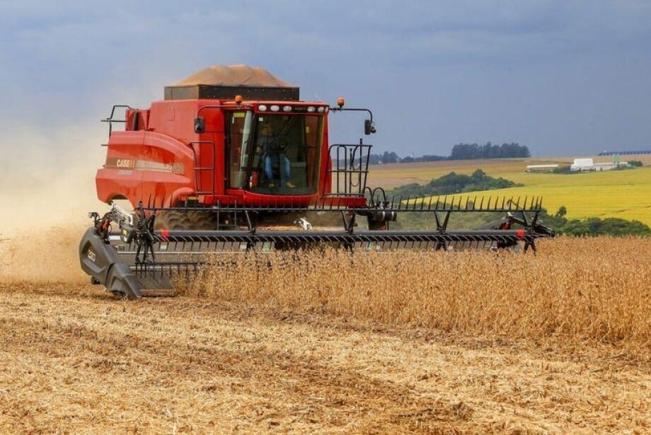 Pela 1ª vez em 3,5 anos, preço da soja fica abaixo de R$ 100 em MS