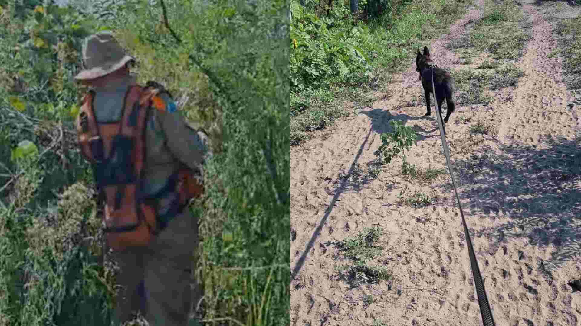 Bombeiros suspendem busca por indígena desaparecido há uma semana no Pantanal de Corumbá