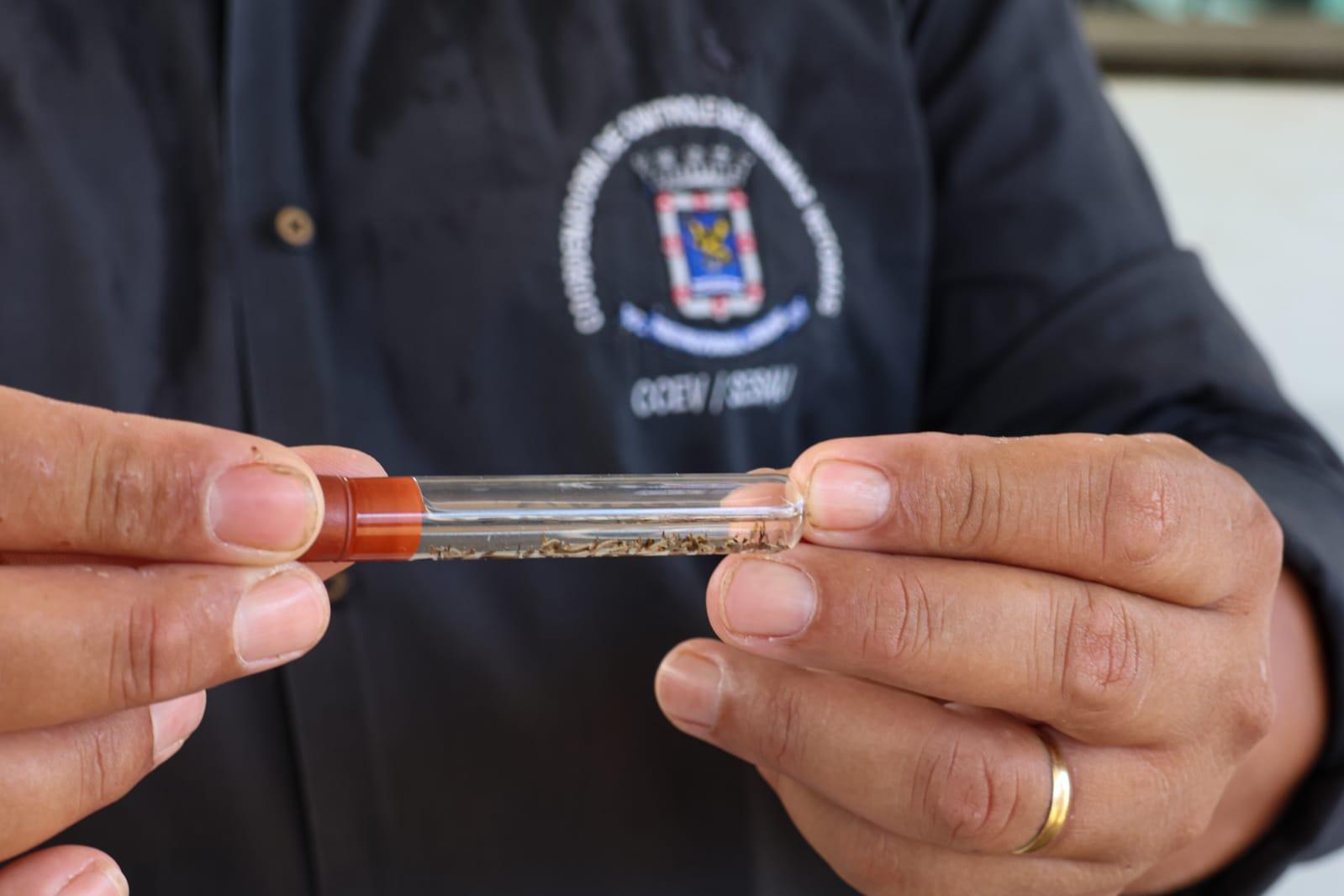 Estado confirma mais duas mortes pela dengue no interior de MS