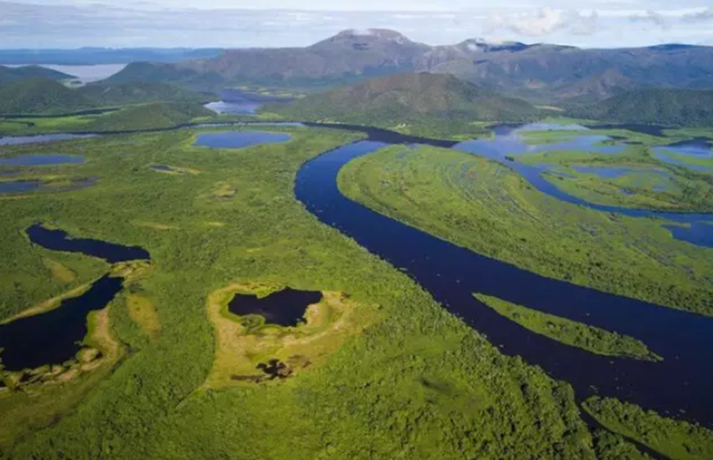 Lei do Pantanal começa com fundo de R$ 50 milhões