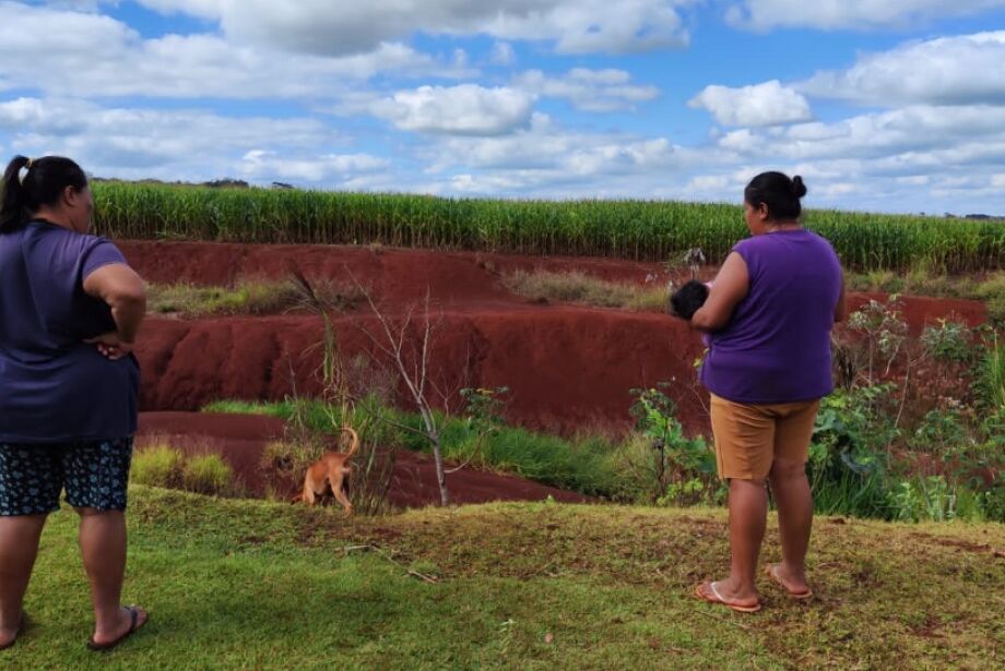 Intoxicações por agrotóxicos dobram em Mato Grosso do Sul