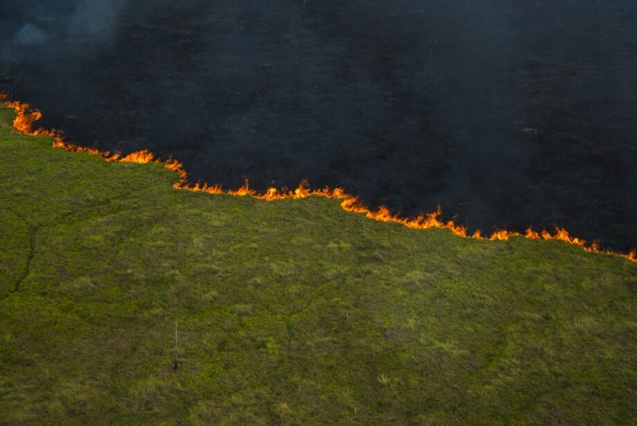 Fogo no Pantanal começa ‘sempre nos mesmos lugares’