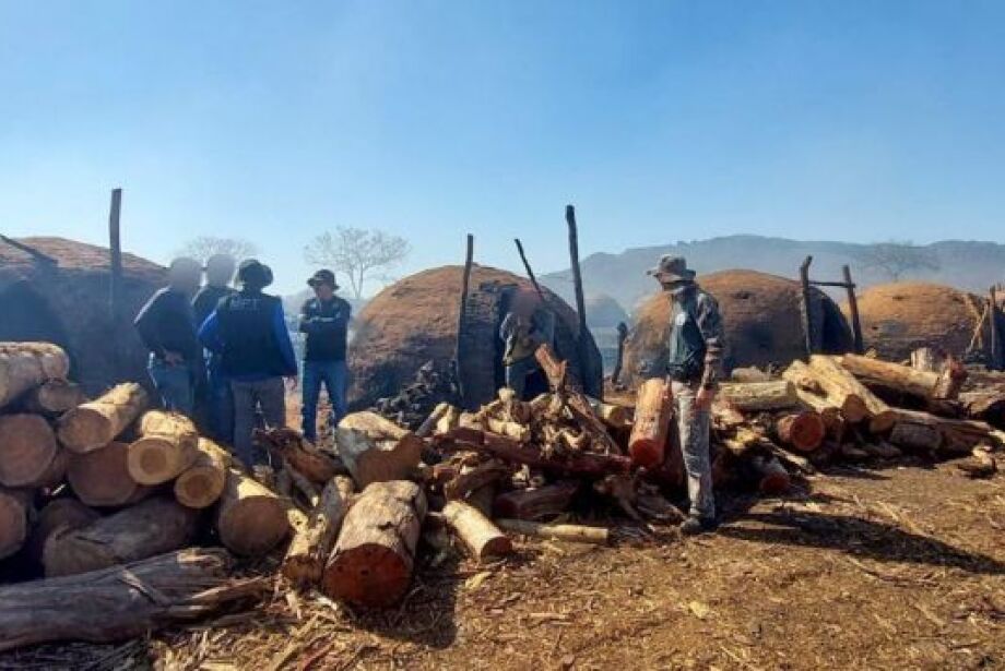 Operação resgata nove paraguaios em situação de trabalho escravo