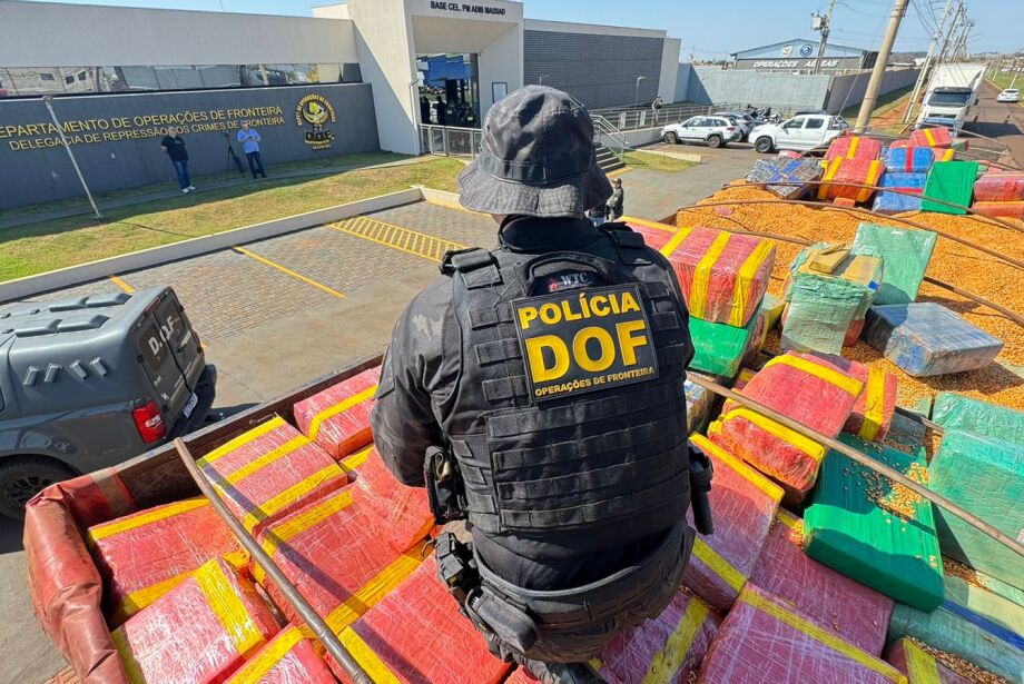 DOF apreende carga milionária de maconha em meio a carregamento de milho