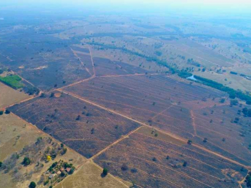Incêndio de grandes proporções em Coxim devastou mais de 2 mil hectares; MPMS apura responsabilidade