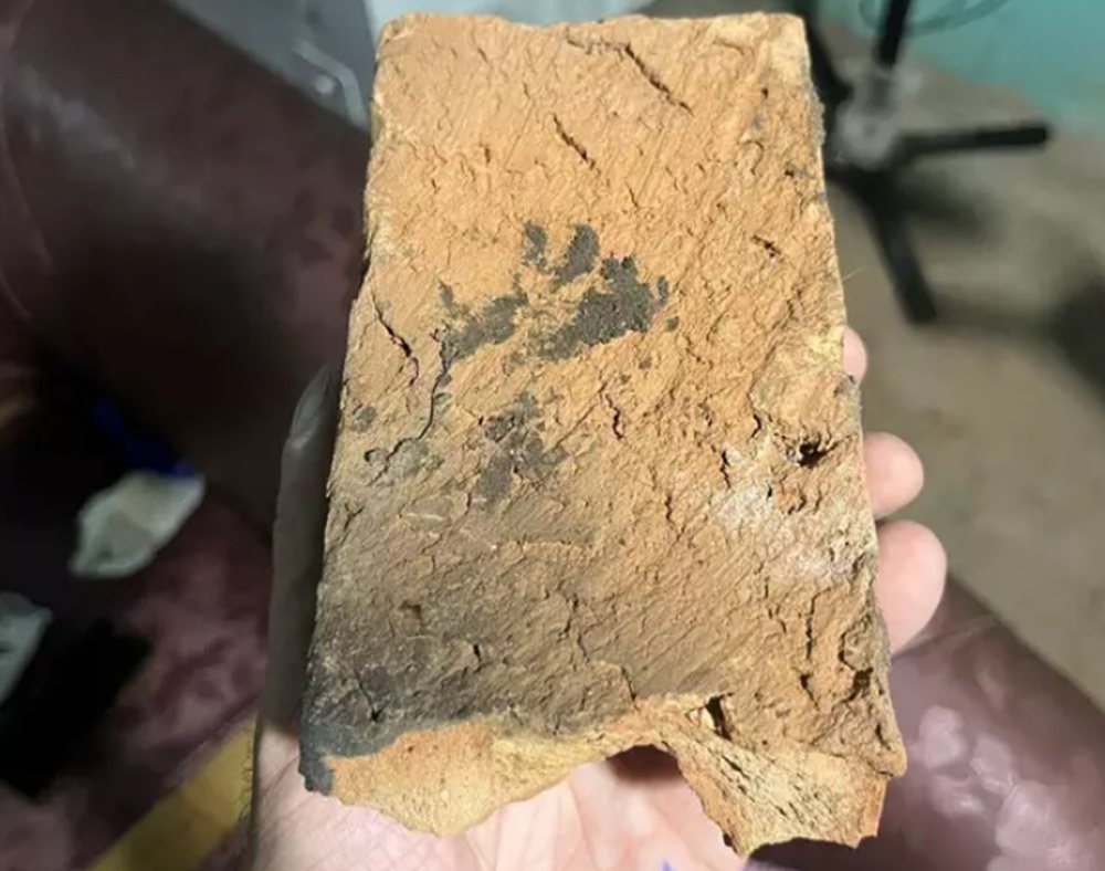 Mulher mata marido a tijolada e é solta por agir em legítima defesa