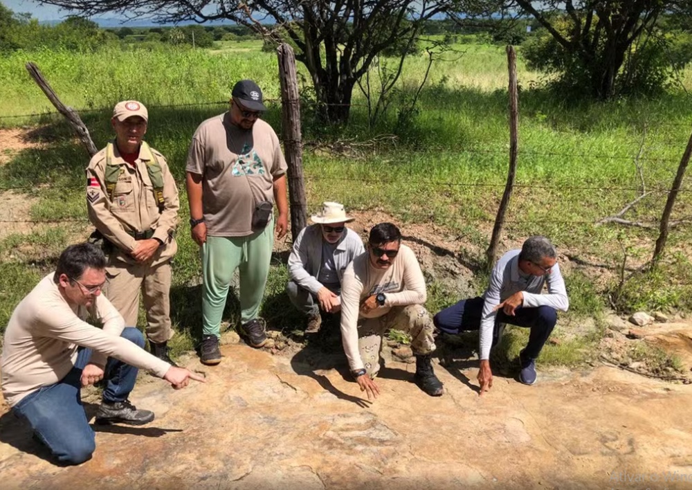 Maior pegada de dinossauro no Brasil é descoberta na Paraíba, aponta pesquisa