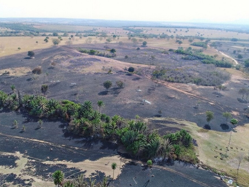 MPMS monitora cumprimento de acordo ambiental após incêndio que devastou mais de 160 hectares em Coxim