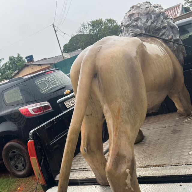 Leão furtado de hamburgueria da Capital é achado escondido em bairro