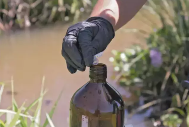 Juiz alega incompetência e extingue ação contra agrotóxico no Pantanal