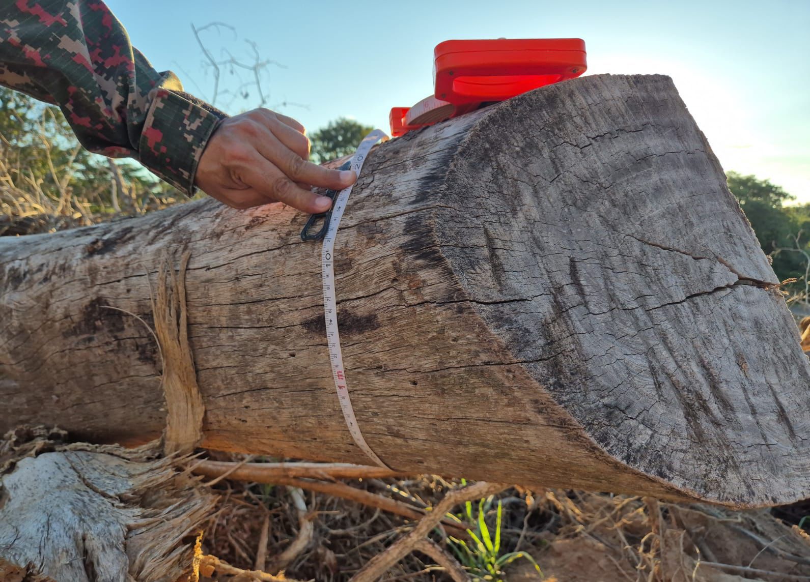 Desmatamento irregular é flagrado pela PMA durante operação em Rio Negro