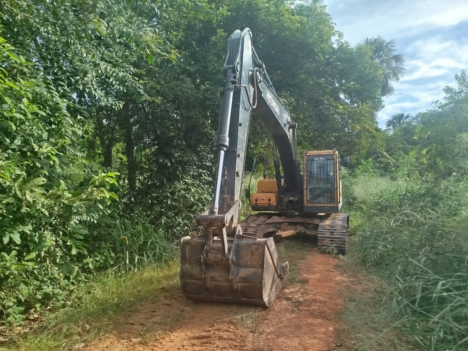 PMA autua supressão irregular de vegetação e apreende máquina em Coxim