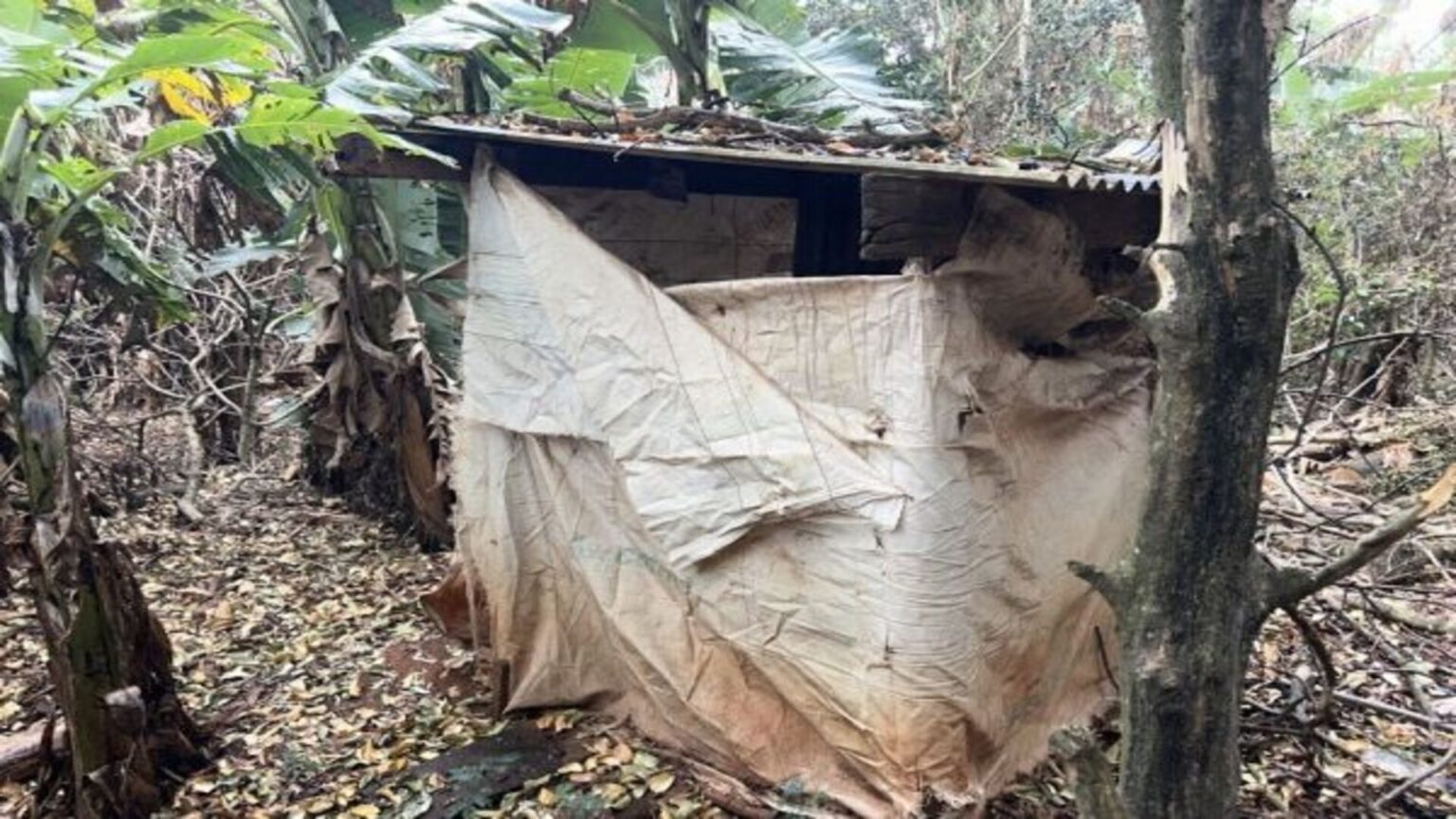 MTE atualiza ‘lista suja’ do trabalho escravo e coloca 28 propriedades na reta em MS