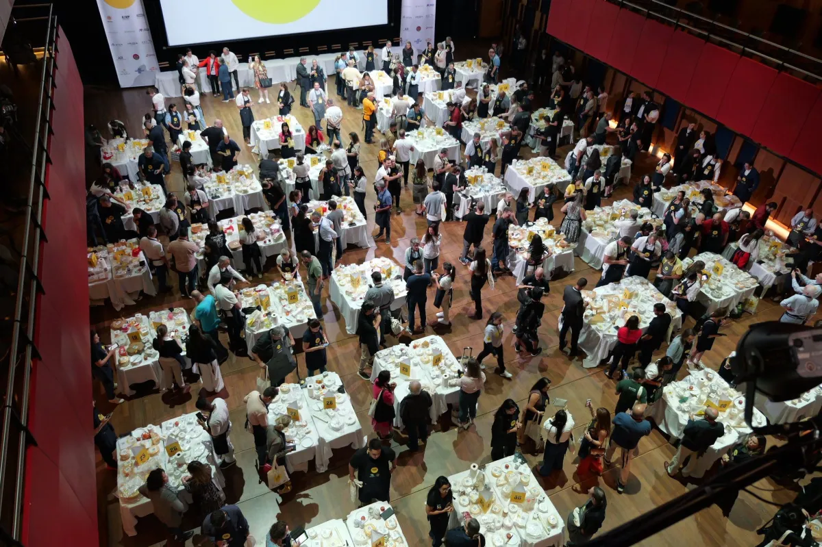 Queijo de SC é eleito o melhor do mundo em competição internacional