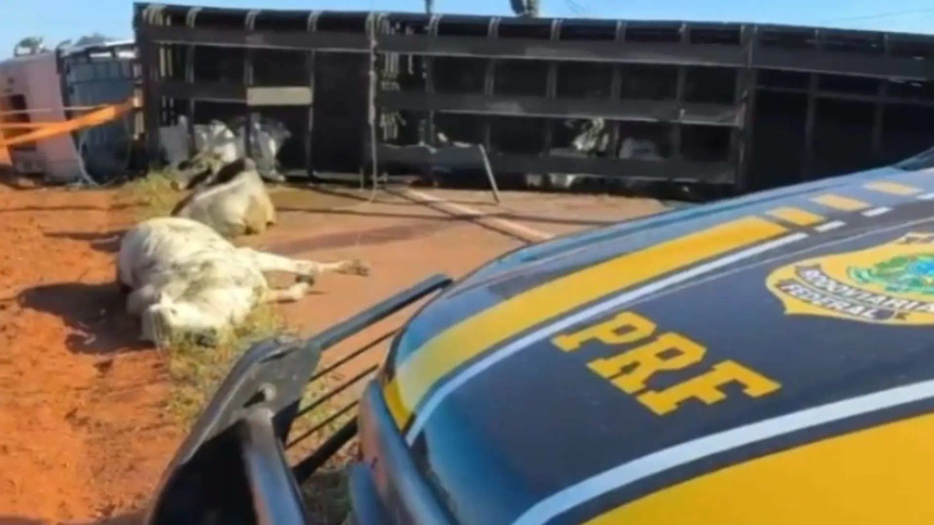 Caminhoneiro viu carro em zigue-zague antes de acidente na BR-262