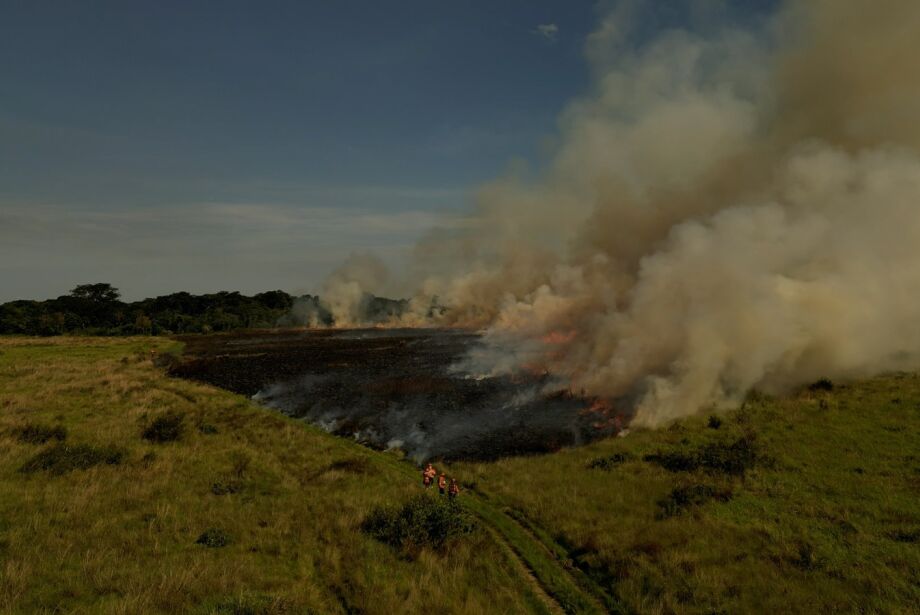 Bombeiros de MS usam manejo integrado do fogo para evitar grandes incêndios