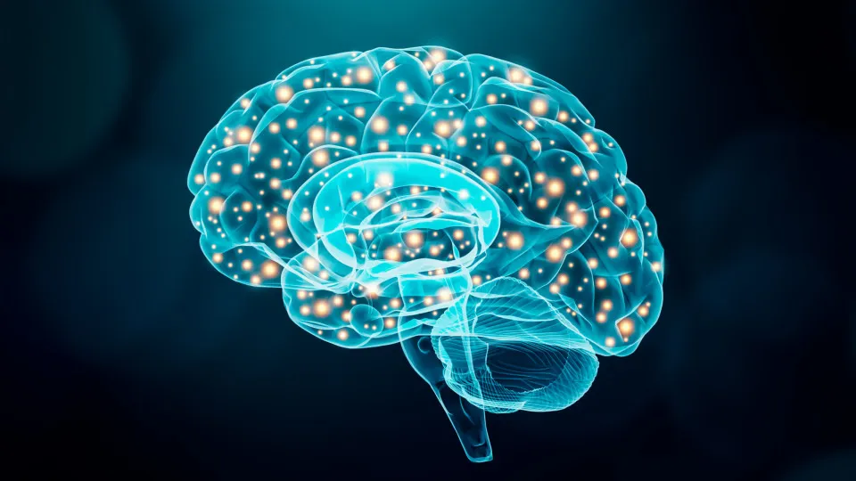 Neurologista revela os 5 truques para o “cérebro demorar a envelhecer”