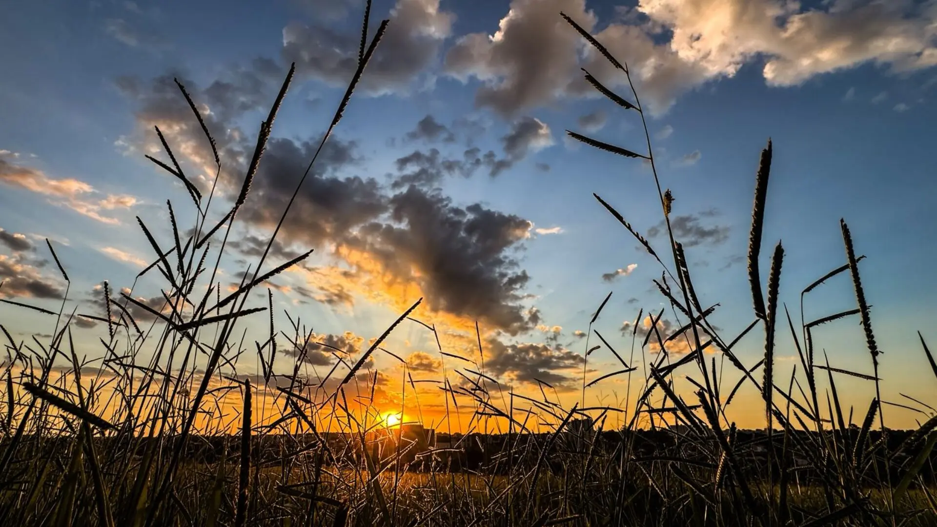 Últimos dias de calor serão de tempo seco e máxima de 36°C em Mato Grosso do Sul