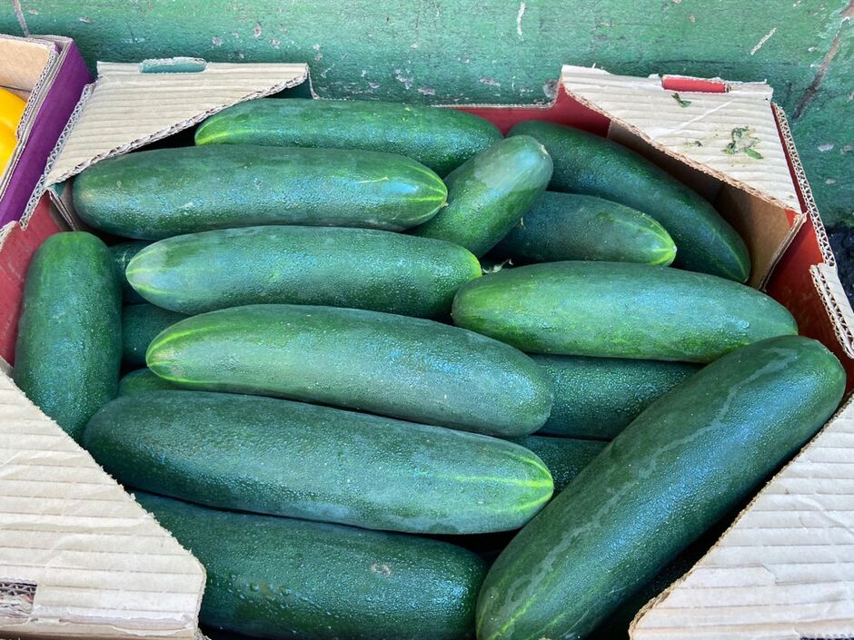 Condições climáticas elevam preço de produtos hortifrúti em até R$ 20 em Campo Grande