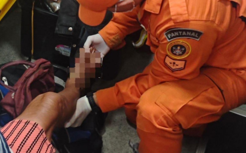 Idosa é atacada por sucuri durante trabalho de capina no Pantanal