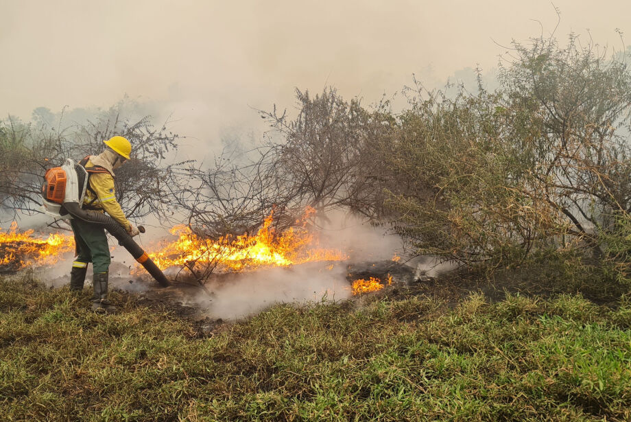 Incêndios florestais colocam MS sob estado de emergência ambiental