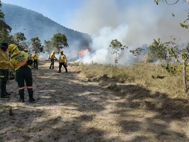 Queima prescrita inédita no Amolar reforça prevenção ao fogo no Pantanal