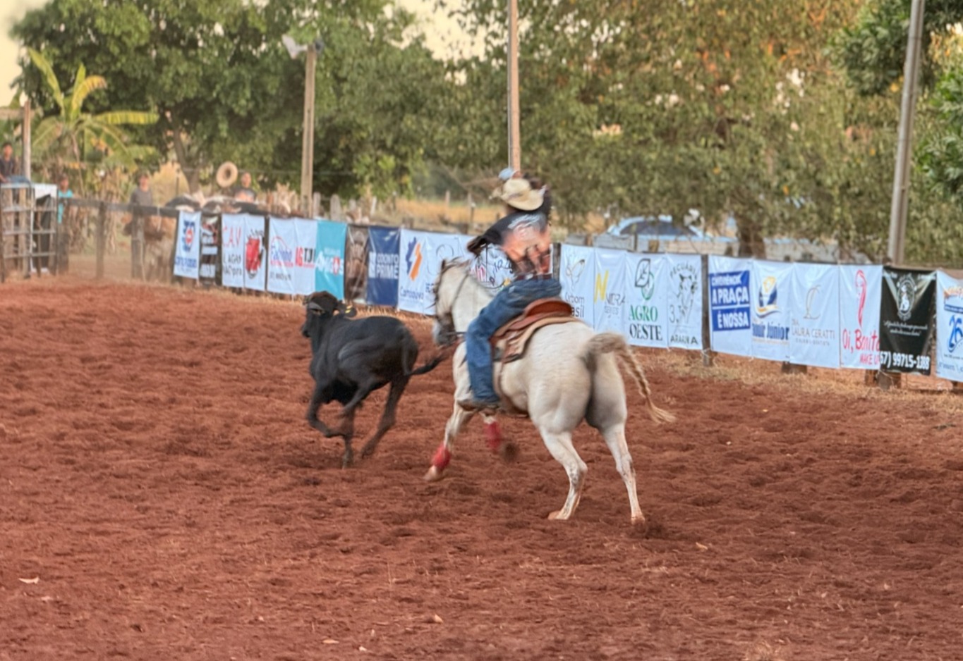 Team Roping reúne competidores e consagra campeões durante programação dos 38 anos de Sonora