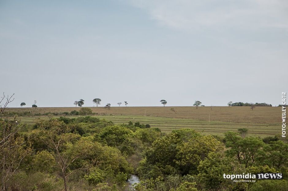 Idoso que estava desaparecido é encontrado morto dentro de saco plástico em fazenda de Rochedo