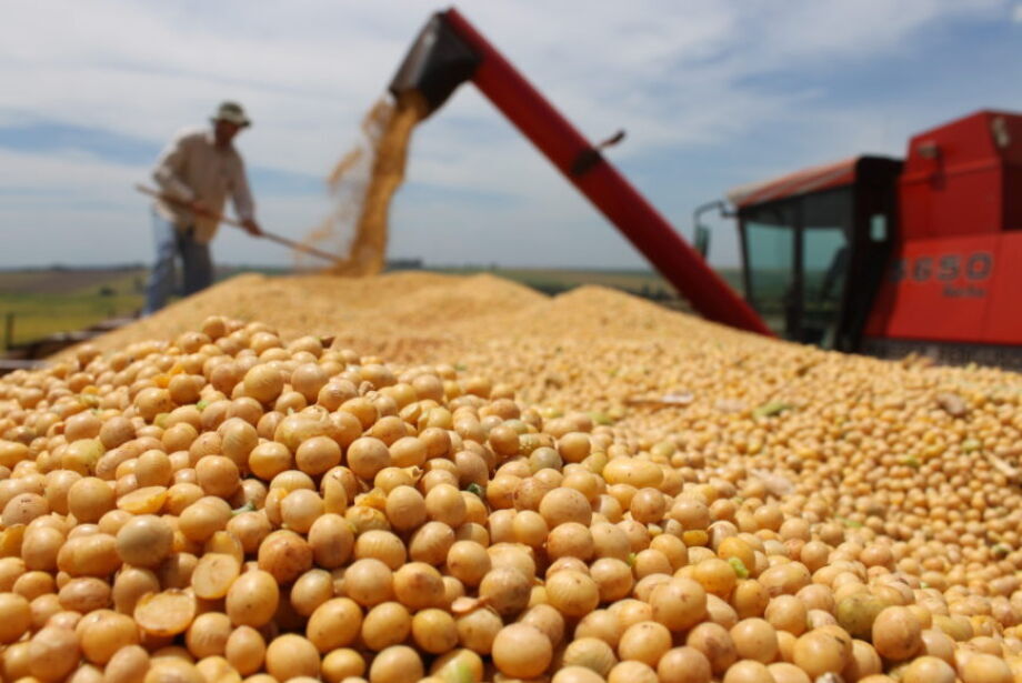 IBGE prevê safra de 29,1 milhões de toneladas de cereais, leguminosas e oleaginosas em MS