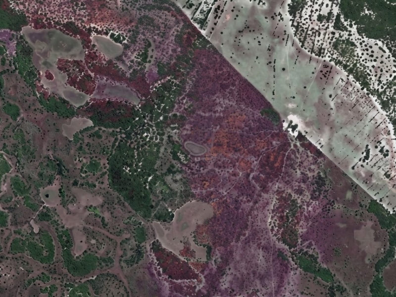 MPMS firma TAC para recuperar área desmatada e garante compensação ambiental de R$ 125 mil em Corumbá