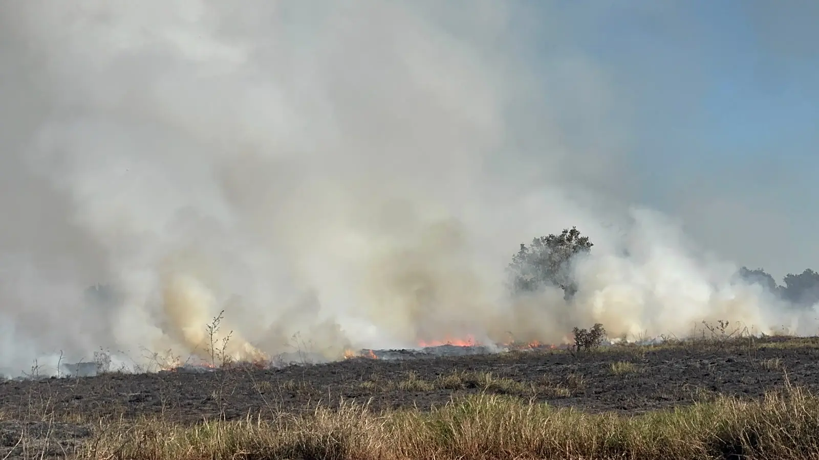 Perigo de vendavais, bolha de calor e secura de deserto alertam para risco de incêndios em MS
