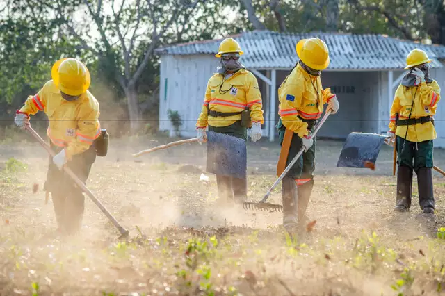 Fogo vira aliado no combate a incêndios no Pantanal em ação na APA Baía Negra