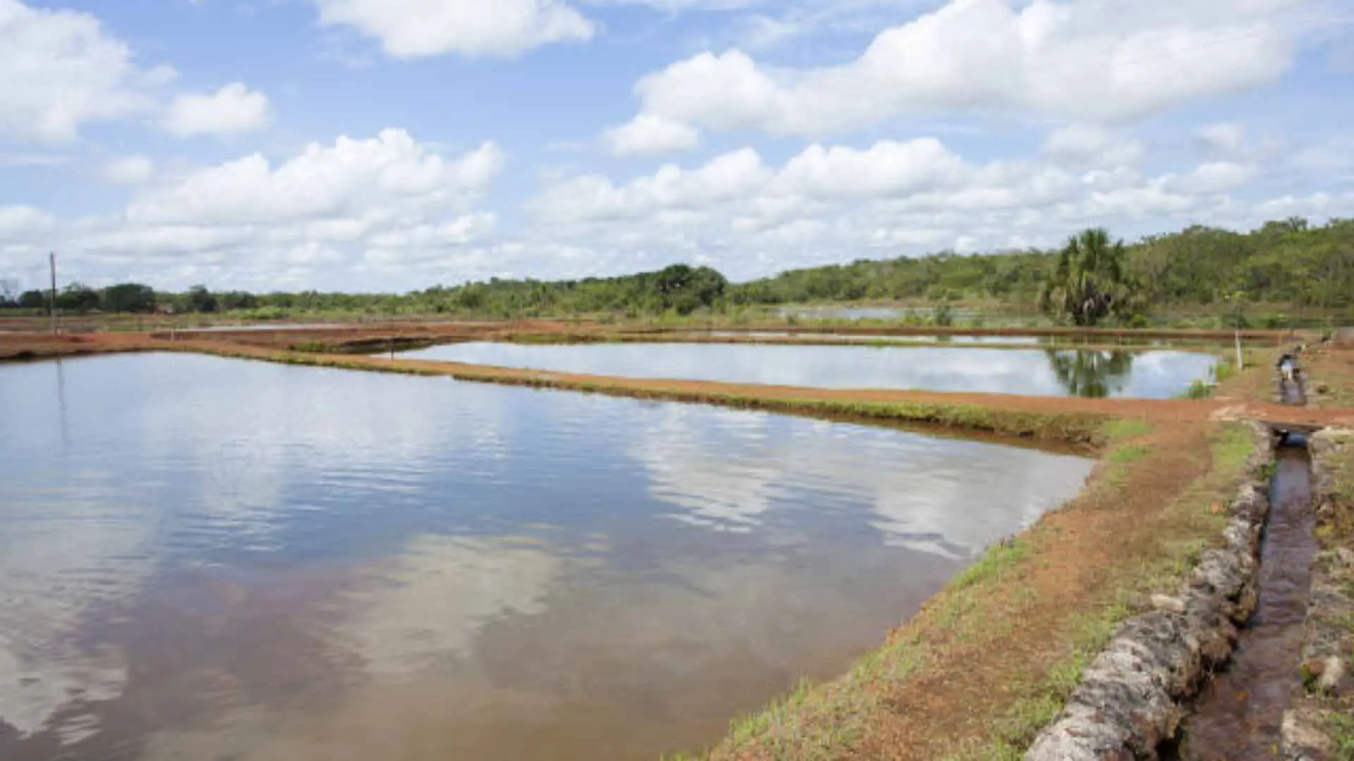 Bebê de 1 ano morre afogada em tanque de peixes na zona rural de Chapadão do Sul