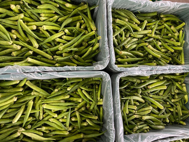 Preço do quiabo dispara 20% e laranja tem queda de 16% na 1ª semana de agosto