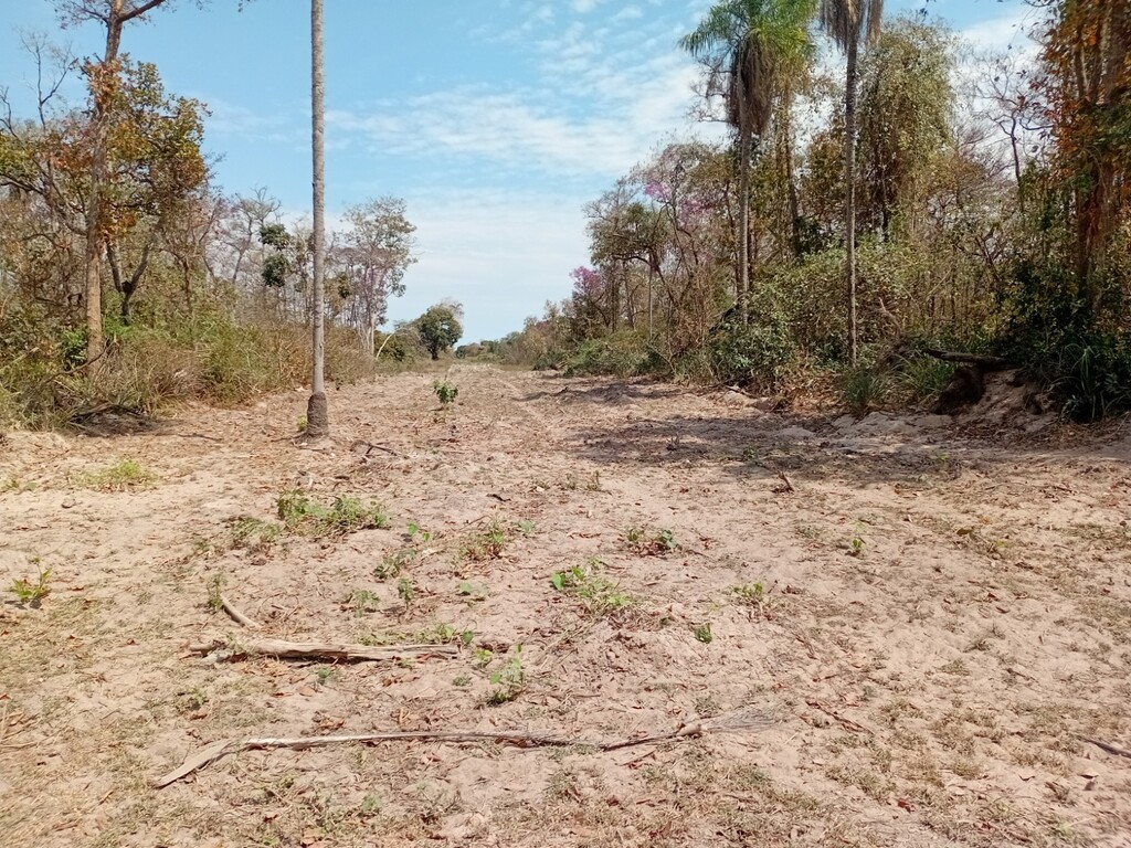 Ibama multa cinco fazendeiros em R$ 22,5 milhões após incêndio devastar área do Pantanal