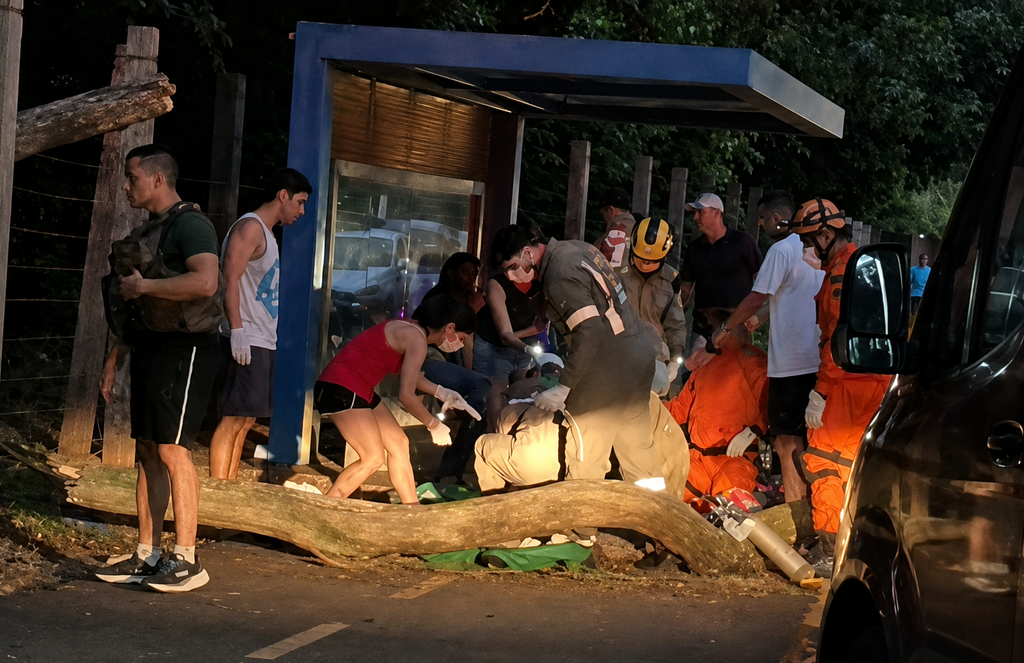 Jovem em patinete morre ao ser atingida por árvore na Capital