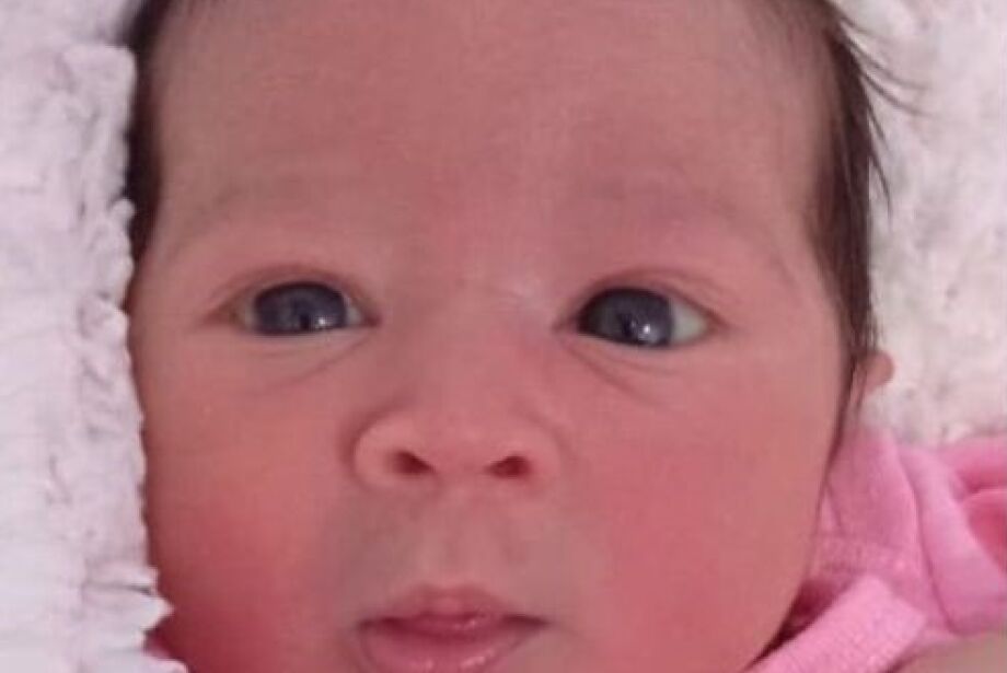 Resgatada no Paraguai, Ayla retorna à Campo Grande e deverá ficar em abrigo